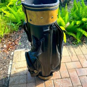 cart bag Gold Eagle 
With club dividers